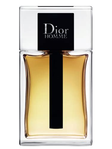 dior homme vcr 3sno44|Dior Homme 2020 cologne.